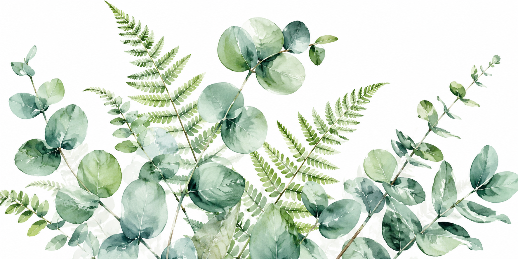Botanical watercolor painting featuring eucalyptus and fern leaves, white background,